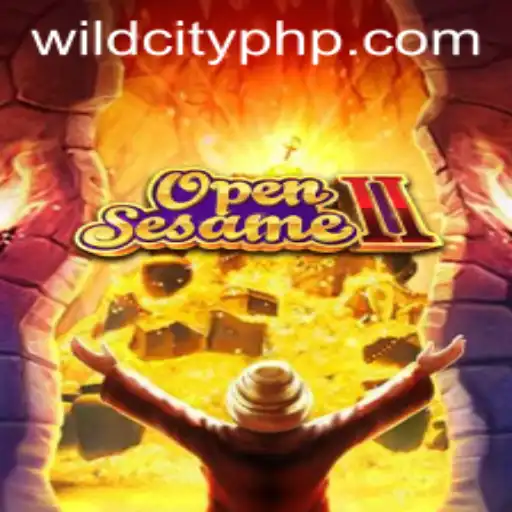 OpenSesameII: Unlocking the Mysteries of Wild City App